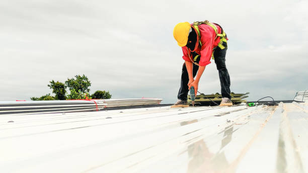 Best Gutter Replacement  in Beaver, UT